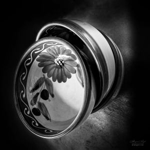 Still Life | 18