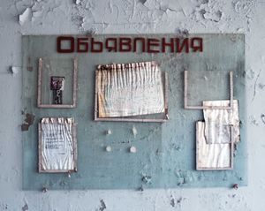 8. Pripyat. The forest grounds.