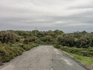 Road to nowere