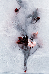 Trapped_14