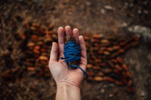 Blue Egg