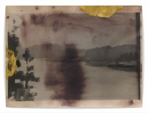 ORP 19, 40 X 30 cm, Silver Gelatin Print, Mixed Media, 2017