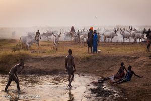 From the series Nile Water Access, Another War