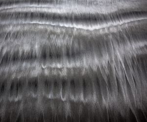 Reticulum