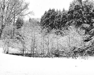 ZenMeditation - Plate 7