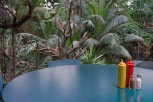Condiments, Lied Jungle