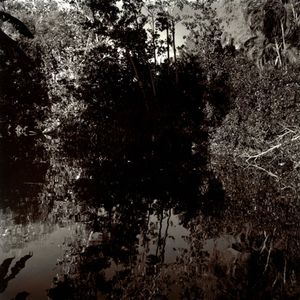 Reflection Study #2, Fort Lauderdale, FL, 2009                                                             © Kimberly Schneider
