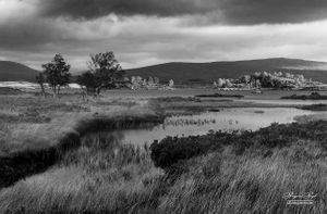 Loch Ba, Scotland |  14