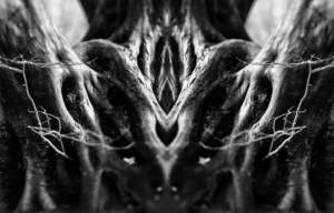 occult 1