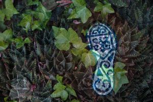 Footprint