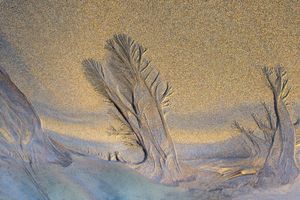 Dawn in Serenity Valley