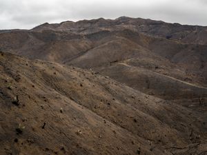Encinal Canyon (2398)
