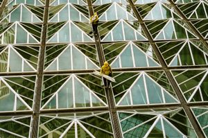Central, Hong Kong | Oct 2017