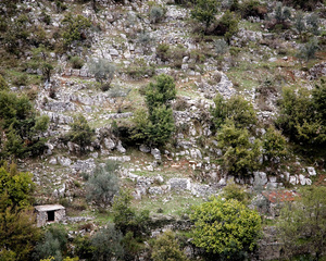 Torre Cajetani