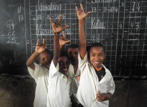 The power of Zanzibari Sign Language