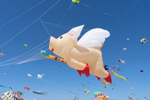 With sufficient thrust, pigs fly just fine!