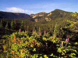 Lake Peak, Puerto Nambe, Pecos Wilderness, North.