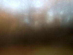 Nov 10  7:53am