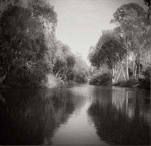 exposed with a Rolleicord II