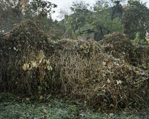 The saddest man in the world