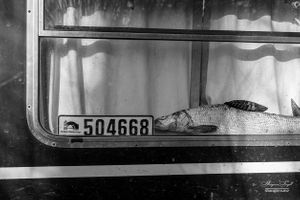 Still Life | 21