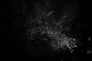"Night Breeze," from the REACH portfolio by RS McWherter.