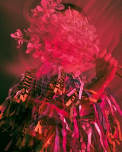 Blooming in Motion