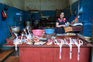 Yangshou market