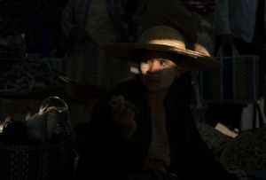 la donna del mercato