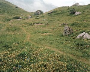 Meadow #3, inkjet print, 60"x75"