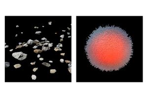 cosmos II_13