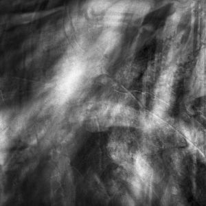 untitled 3