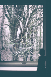 untitled from the series "Waiting for the Awakening"