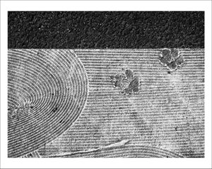 TRACES-PARIS - Empreinte 1