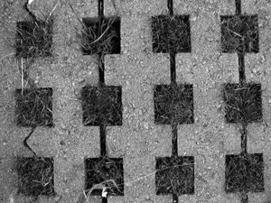 TRACES-PARIS - La cage