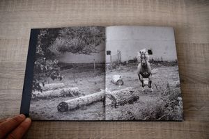Hidden Reality Photobook