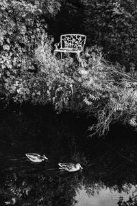 Enfield | River View 01