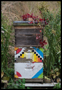 Bee Hive