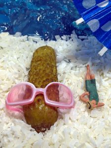 Ferien mit einer Gurke