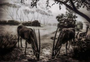 Epitaphs/ Silent Stories/Oryx