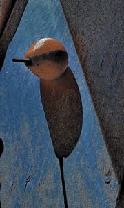 birdie