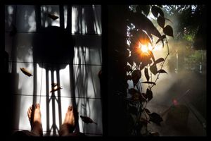 between the light direction © Indra Widi