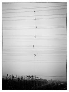 Men who sets up wires