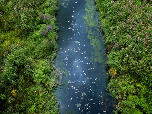 Chalk Streams 2