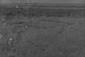 Quelques grains de lumière