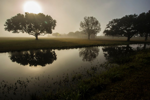 Sunrise Fog at the Chalmette Battlefield, January 21, 2016