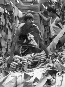 Maheshwar Banana Truck