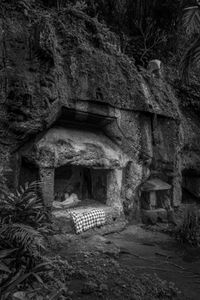 Shelter