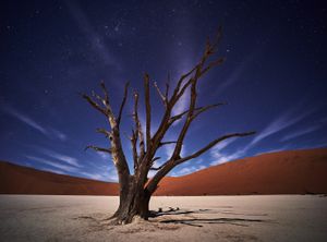 Without water 9