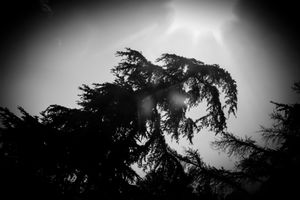 ENLIGHTING